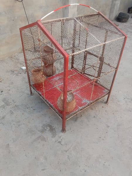 Australian parrotS cage only 2