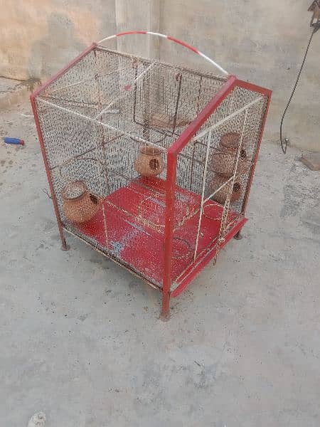 Australian parrotS cage only 3