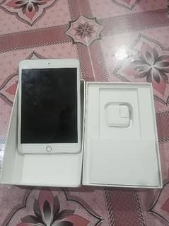 ipad mini 5 ( cellular and wifi)