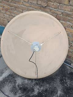 heavy gauge dish entina only 0