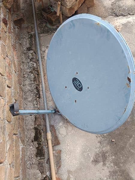 heavy gauge dish entina only 1