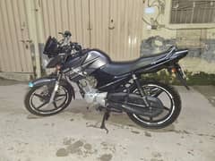 YAMAHA YBR 125