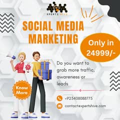 Social Media Marketing,Web Development Services,Wordpress Web,business