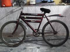 bycycle for sale