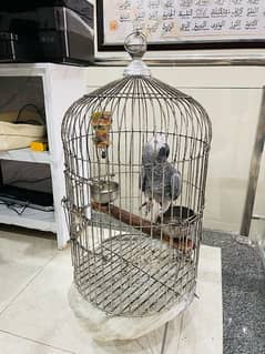 CAGE FOR BIRDS