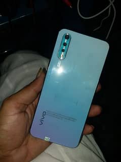 vivo