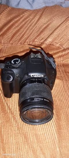 canon d1100 9/10