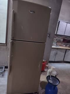 Haier full size Fridge