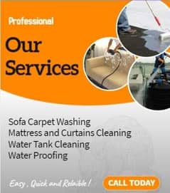 Carpet Rugs Chair Sofa Cleaning/Water Tank Cleaning, Fumigation spray