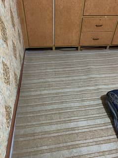 NEW CARPET- Two months use Chance Deal