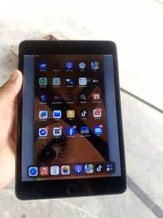 ipad mini 5