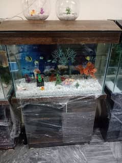 Complete Aquarium Set at reasonable prices