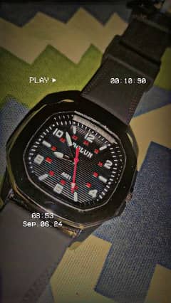 Bolun Chinese Company Watch for Sale