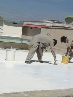 Roof Water Proofing Service, Termite Proofing Deemak Spray