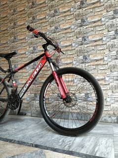 mountain bike (royal rider)