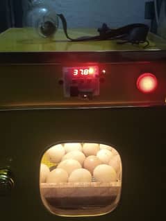 Incubator Machine