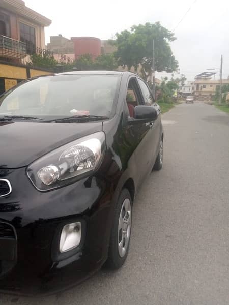 KIA Picanto automatic 2020 1