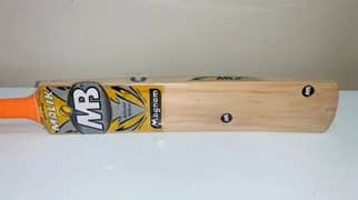 hardball/cricket bat