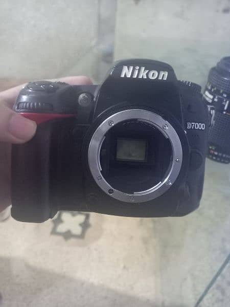 Nikon D7000 professional camera | Nikon camera | Nikon | Camera 2