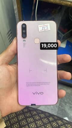 Vivo