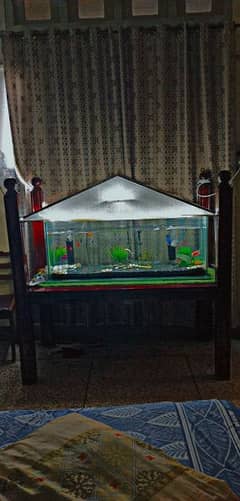 aquarium with table complete with accessories