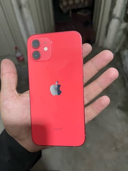 iPhone 12 non pta 2