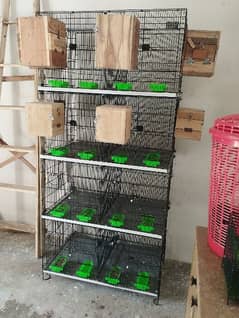 8 portion folding cage