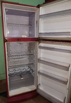 Medium size Fridge 8/10 condition 0