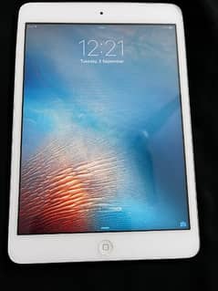 iPad mini 0