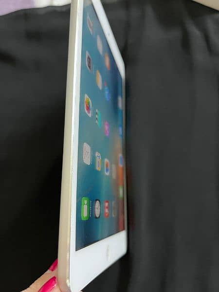 iPad mini 4