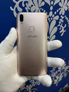 Vivo