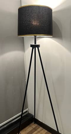 Metal Tripod Black Floor Lamp