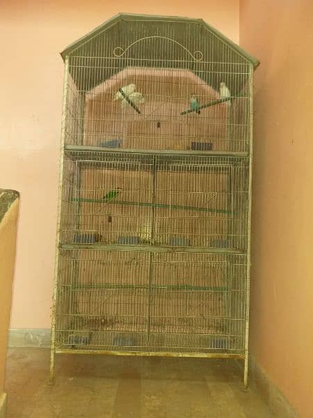 cage for sale 0