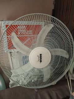 sogo fan