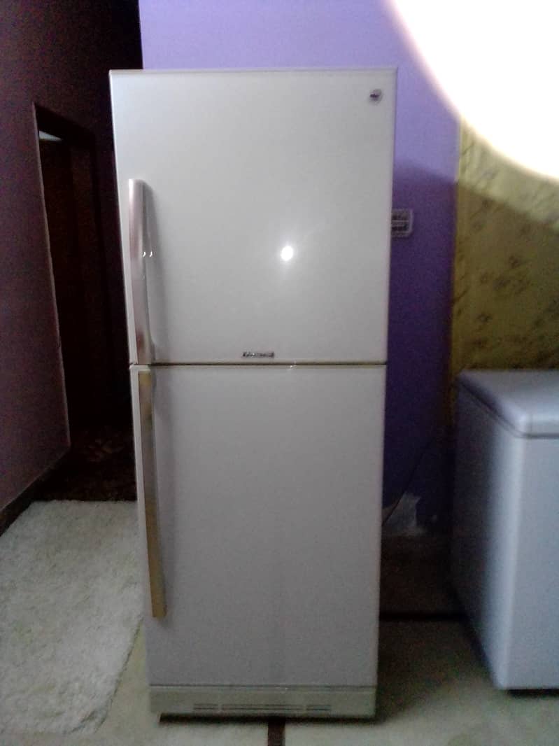 PEL Full Size Refrigerator For Sale 4