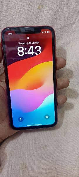 iphone 11 single sim pta approve 1