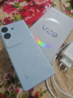 Vivo v29 5G Ege