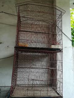 big cages for birds 2 portion