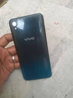 vivo