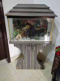 fish aquarium.