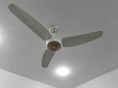 25 Ceiling Fans