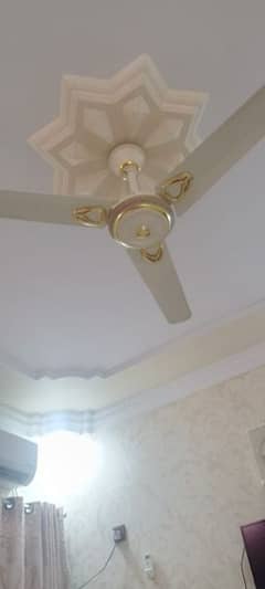 Ceiling Fans