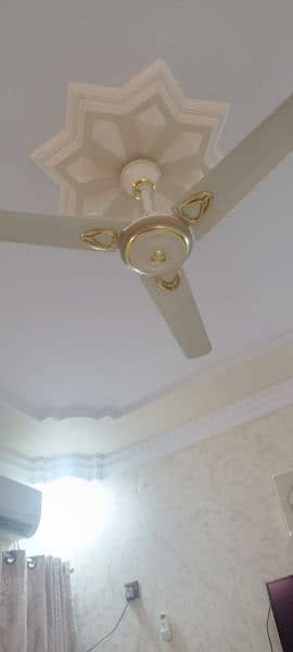 Ceiling Fans 0