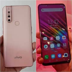 vivo