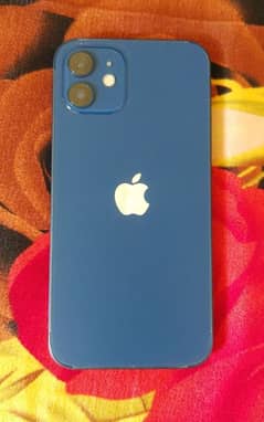 iphone 12 128jv for sale at reasonable price