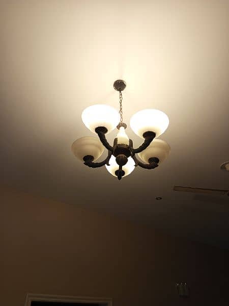 Antique Chandelier and Hanging Lights for sale 1