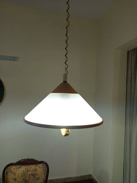 Antique Chandelier and Hanging Lights for sale 3