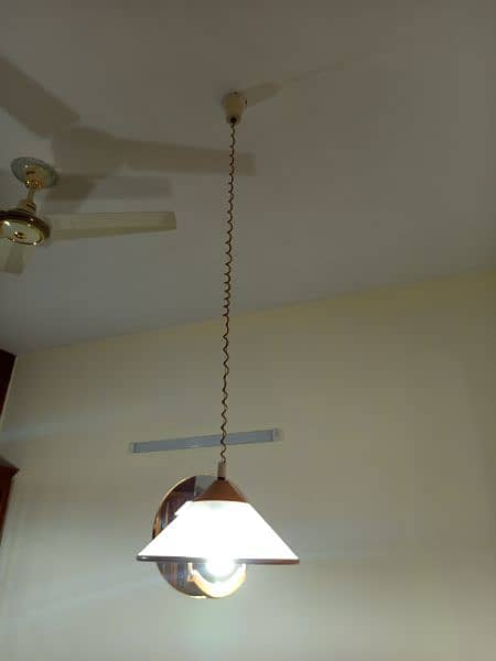 Antique Chandelier and Hanging Lights for sale 5