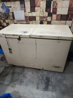 shope freezer 2 door