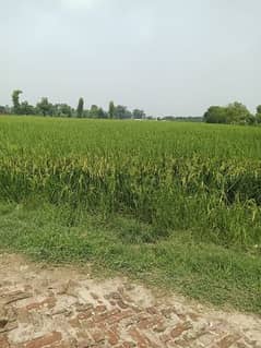 Agriculture and commercial land for sale Bedian road Lahore Cantt